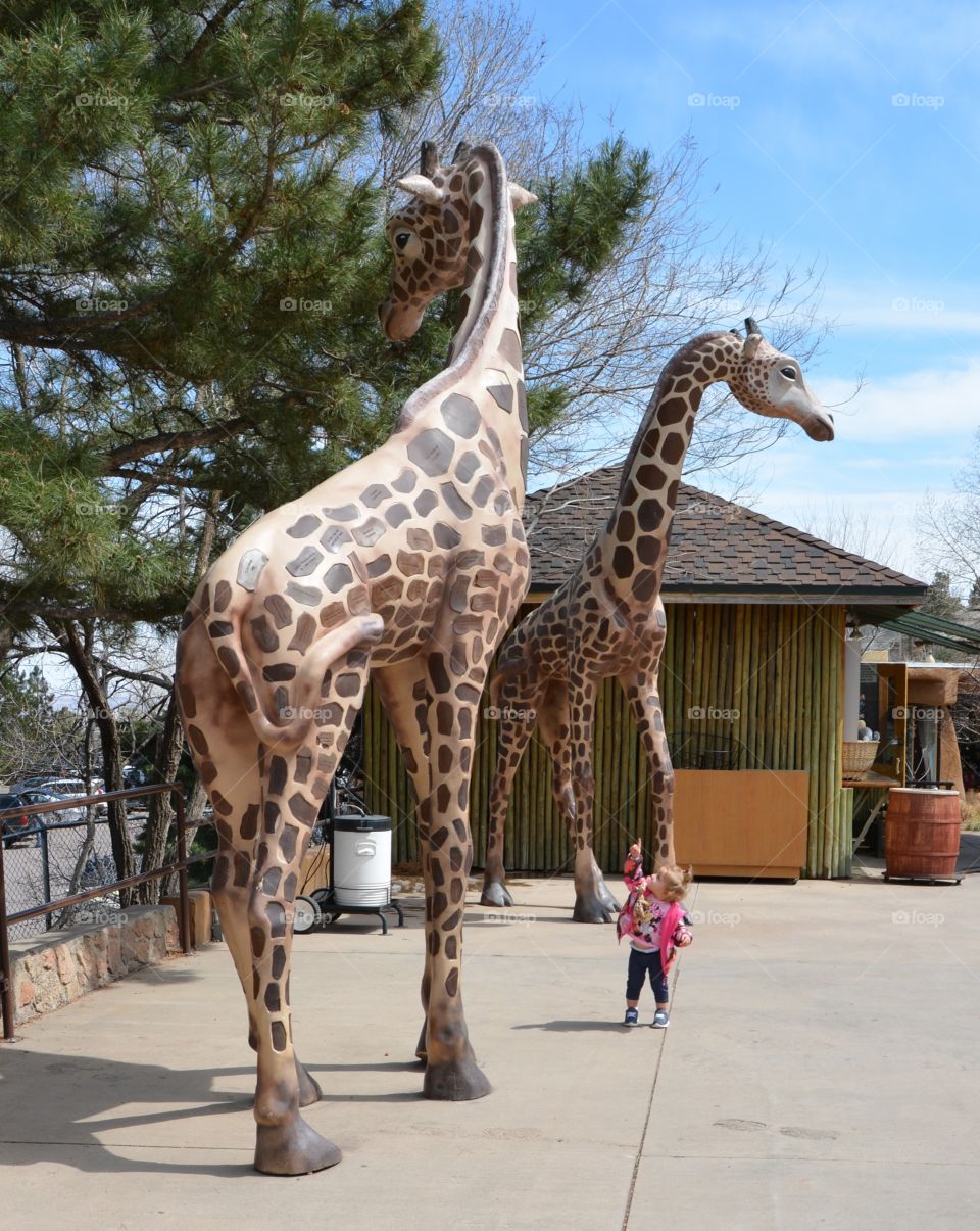 Giraffe statues