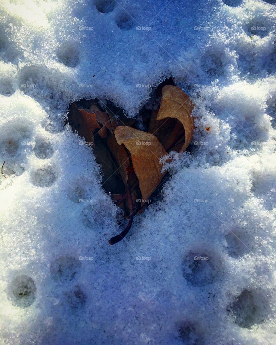 Heart in nature