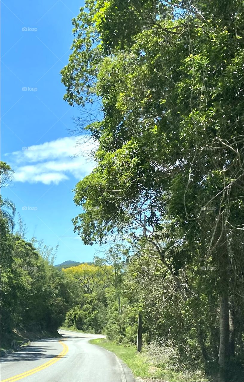 Paths that transmit peace