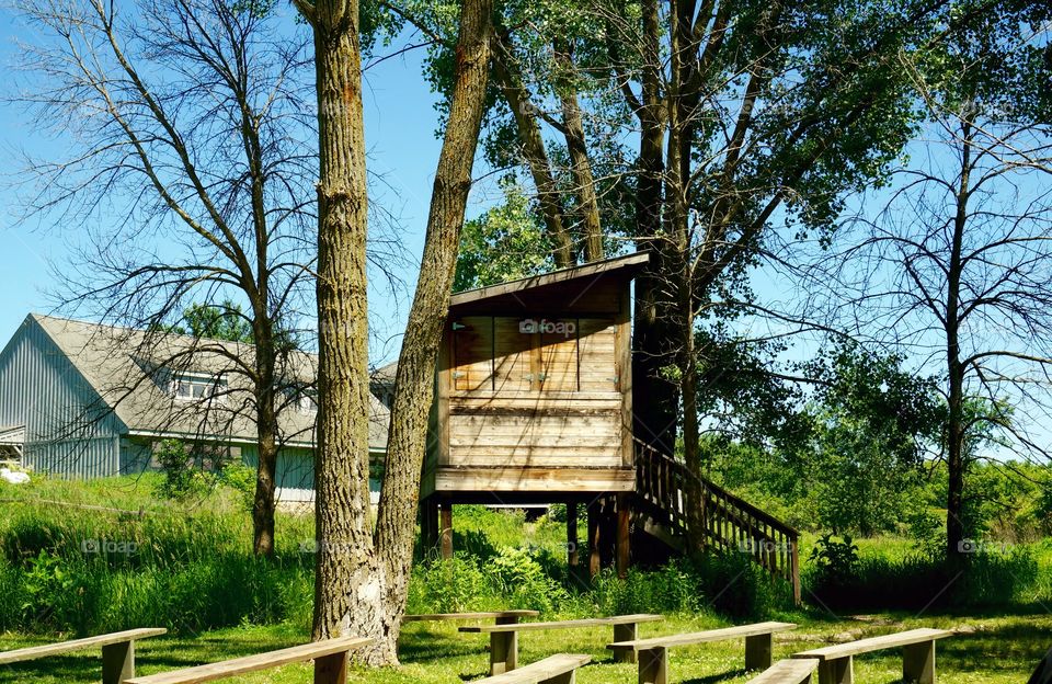 Nature. Treehouse