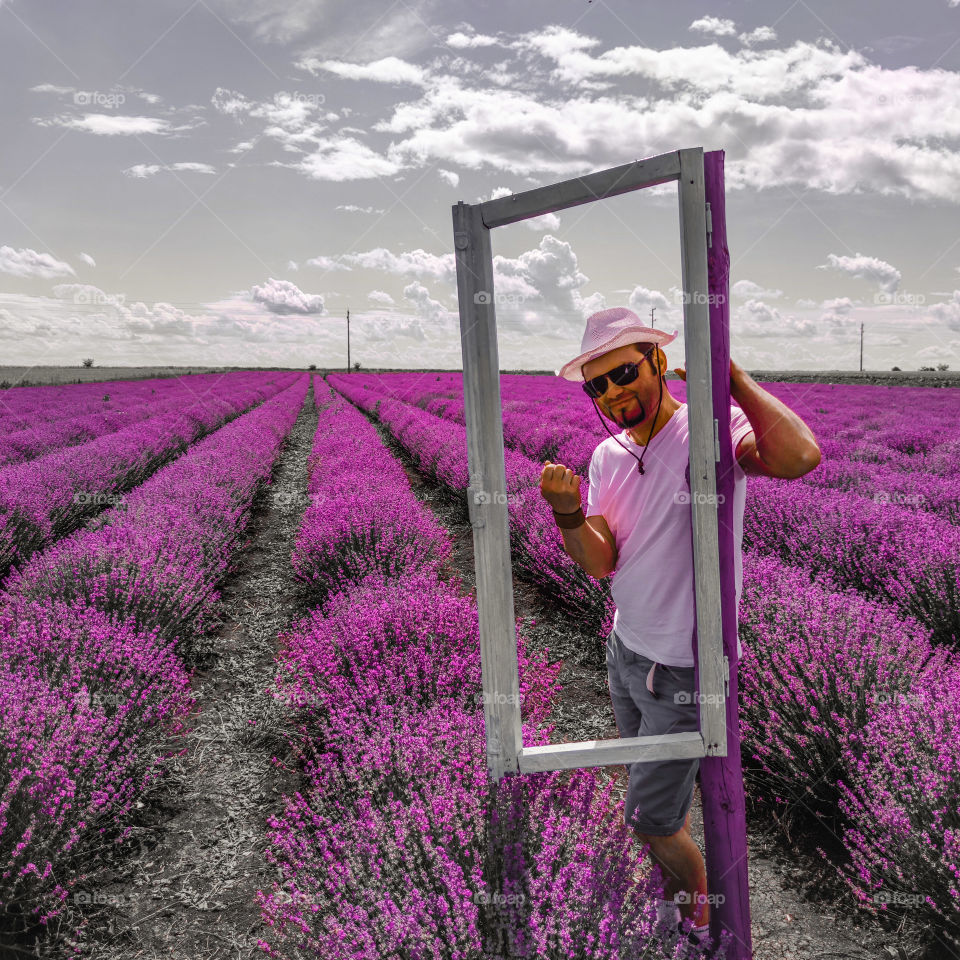 Pink fields of aromatic lavender