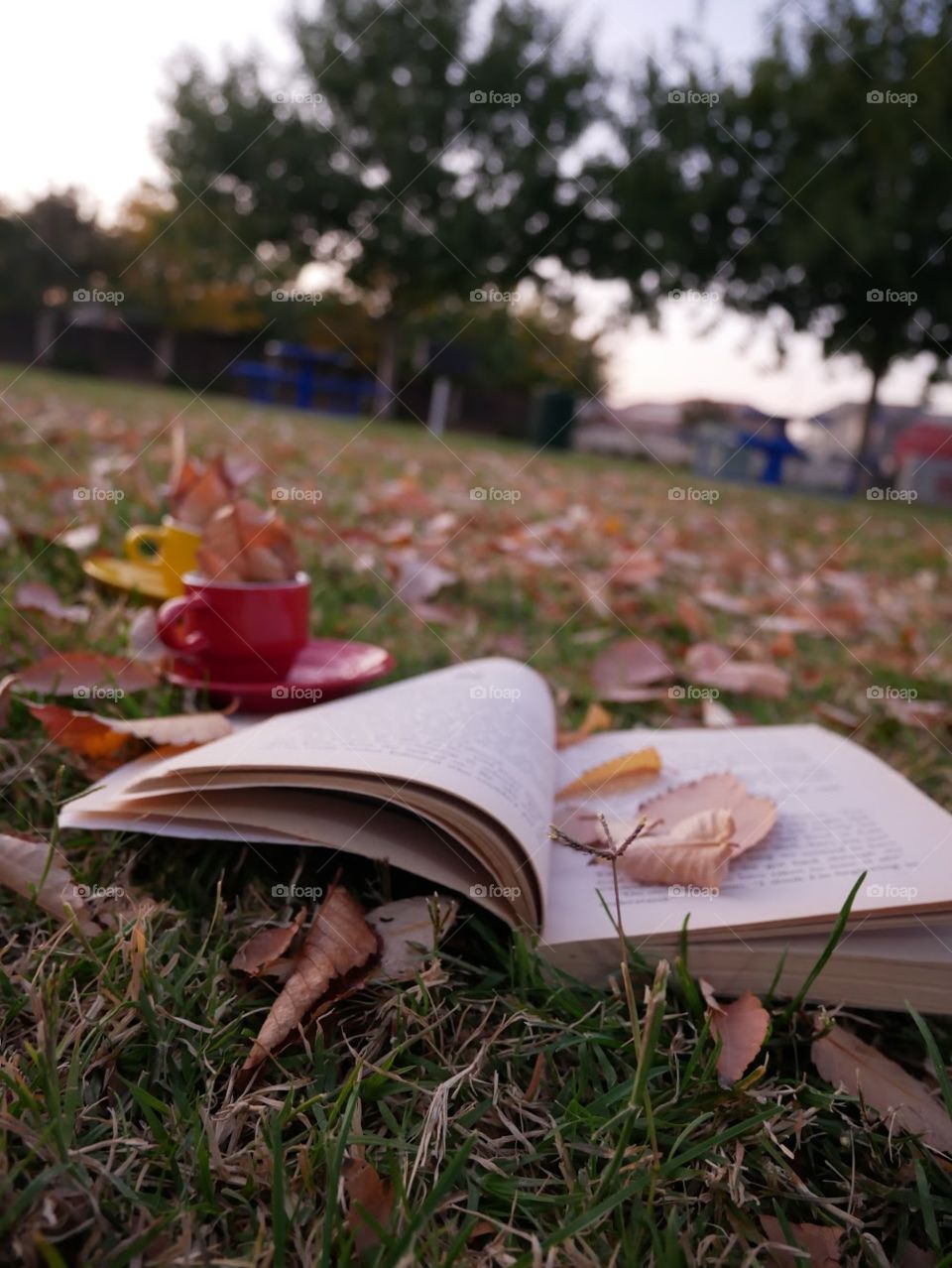 Open Book with tea cups on leaf