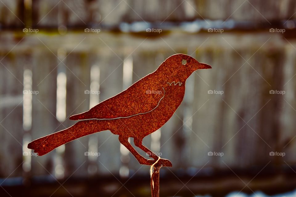 A Metal Bird.