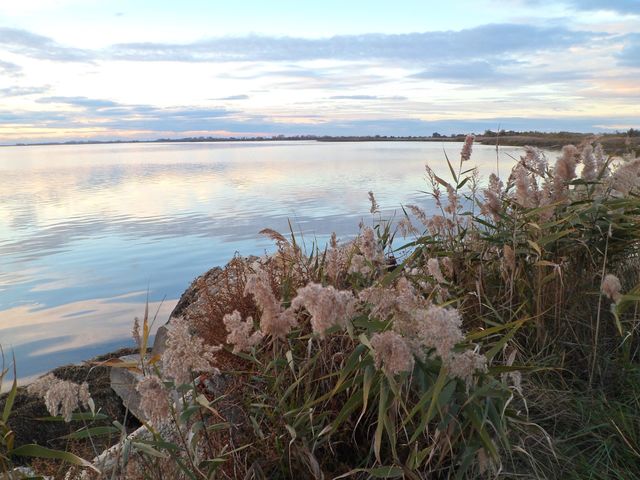 Seascape in Camargue in Arles in France