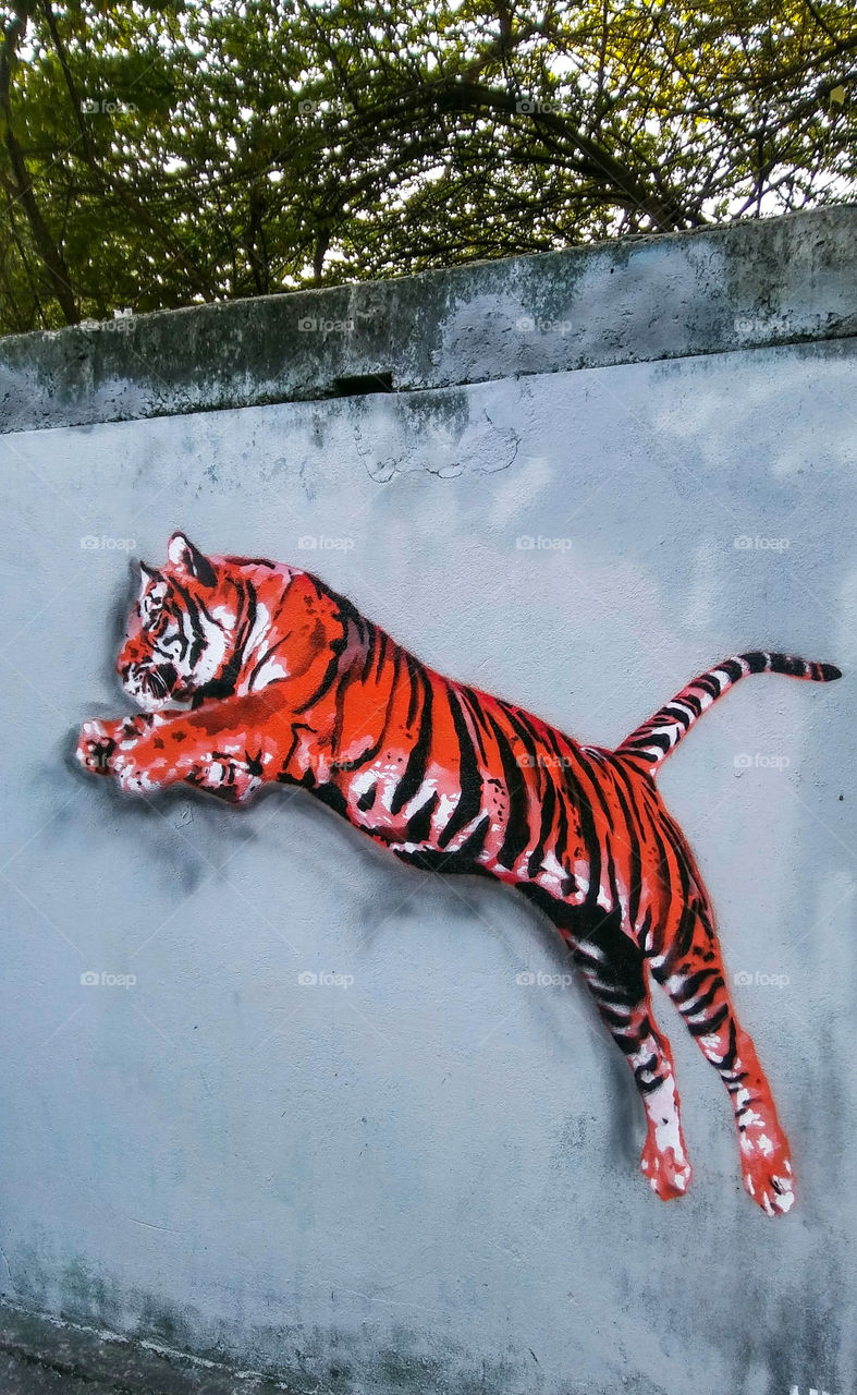 tiger leapt graffiti
