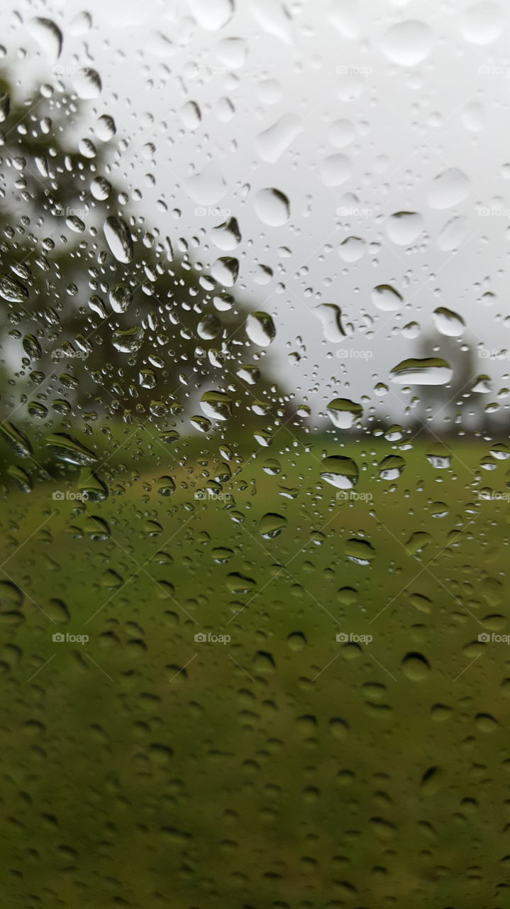 Rain, Wet, Drop, Droplet, Dew