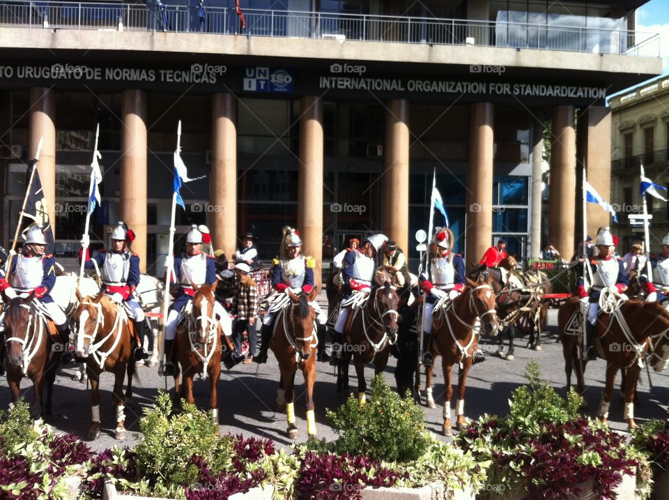 Mounted Soldiers