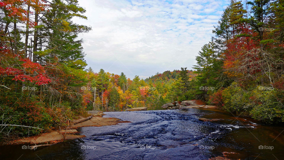 Fall in The Carolinas. Autumn 2015 DuPont State Forest
