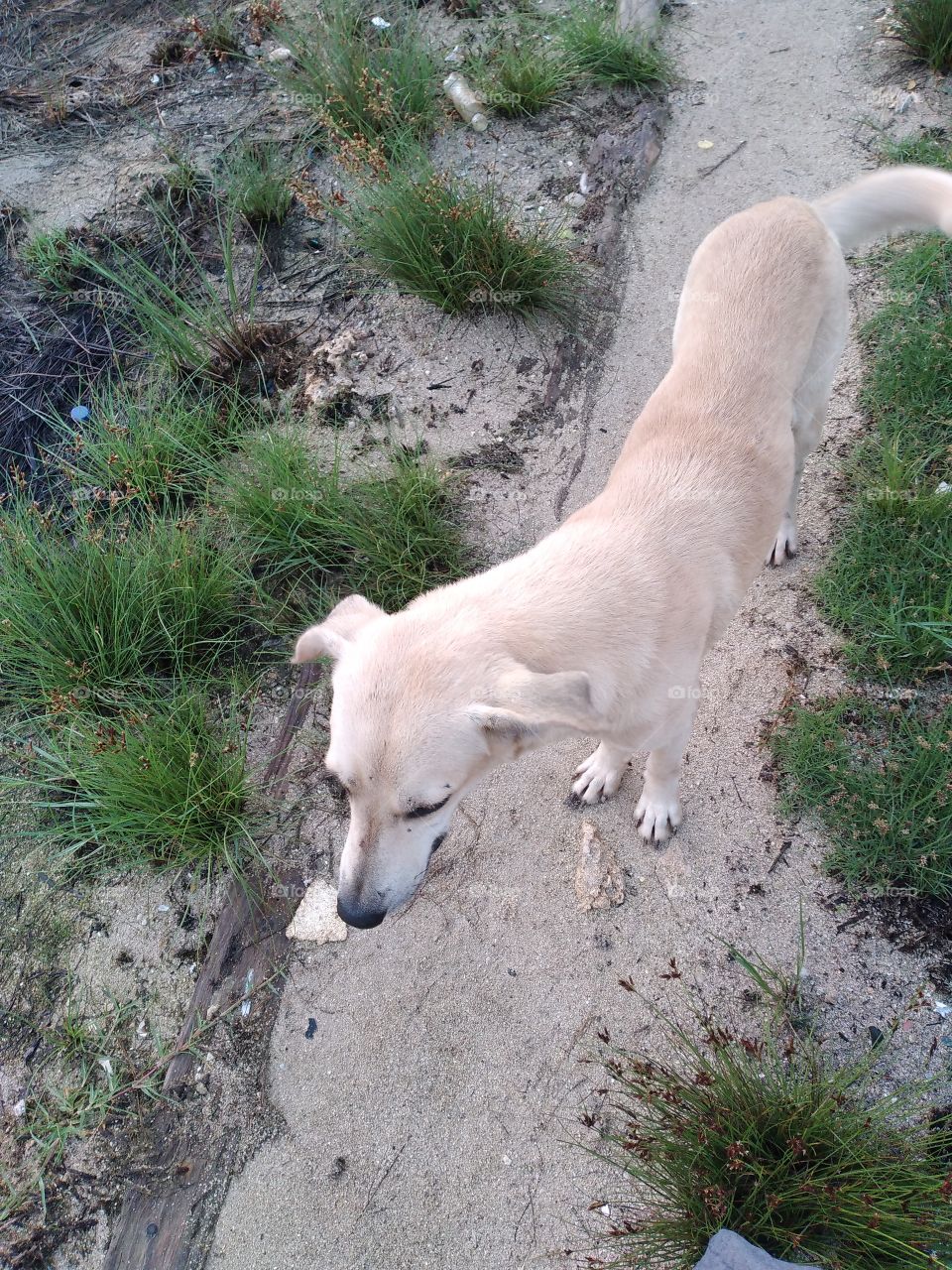 my friend I walk with every morning