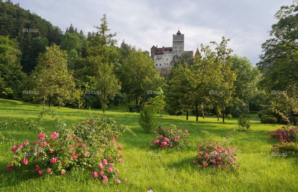 Bran castle