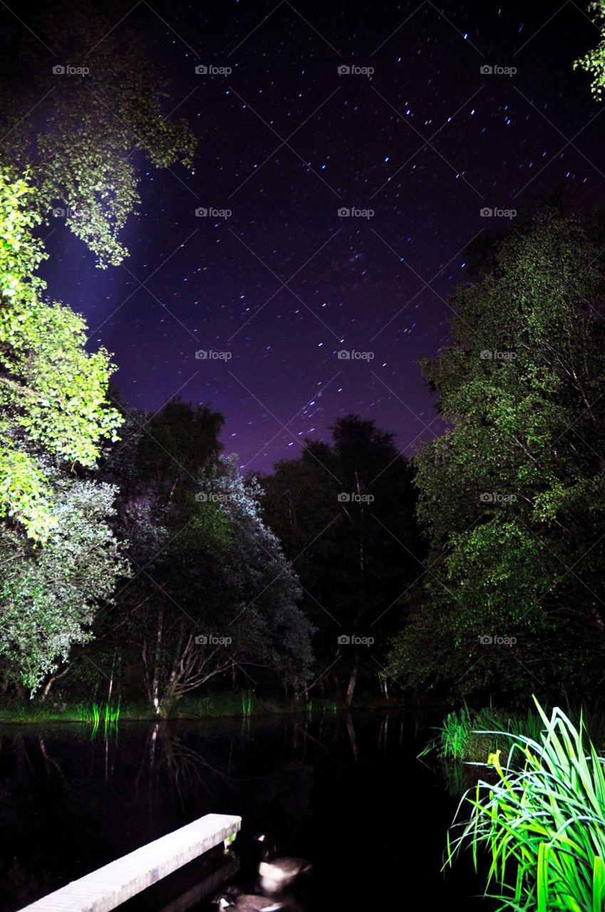 Stars in the forest by the lake
