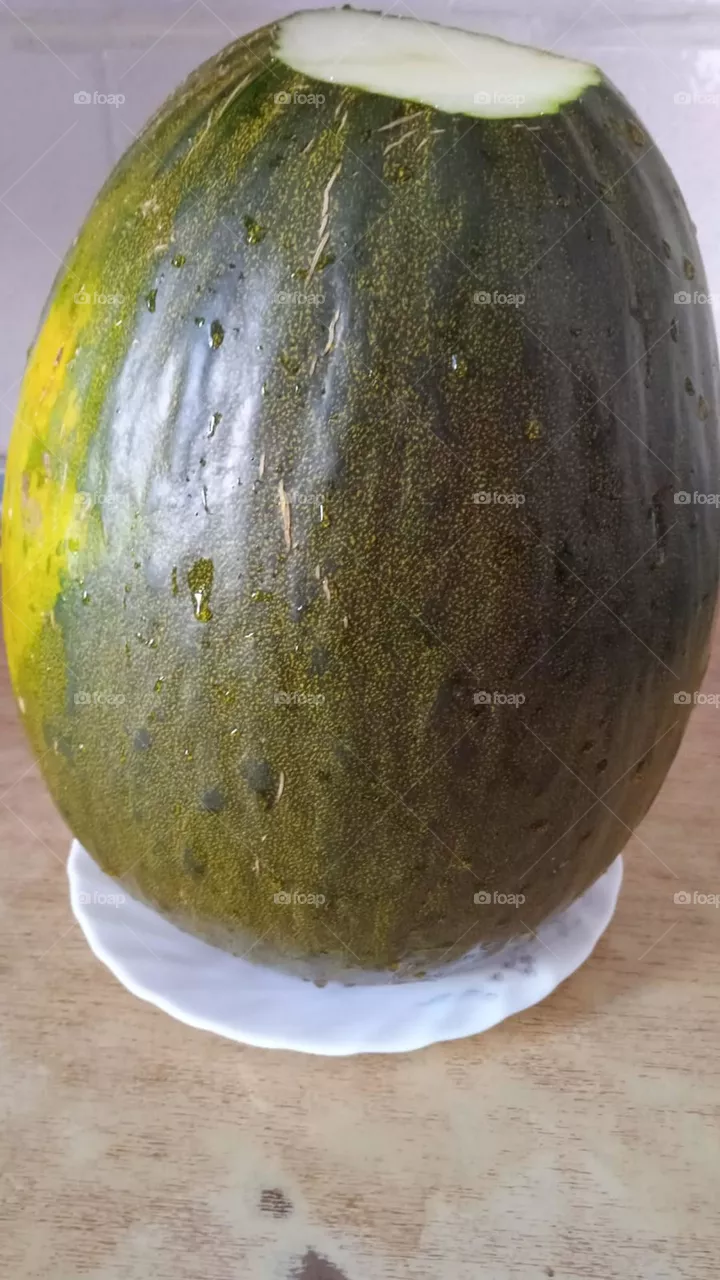البطيخ