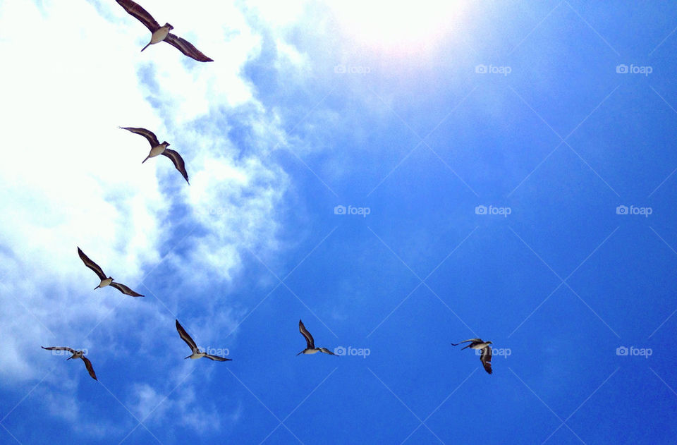 beach sky happy heaven by andrele