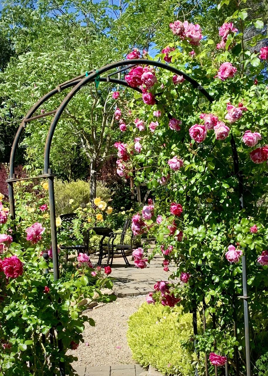 Rose arch