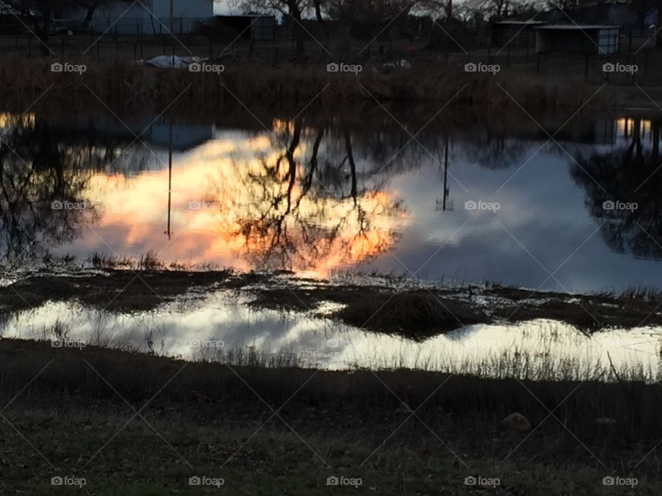 Beautiful reflection at day's end upon the pond. 