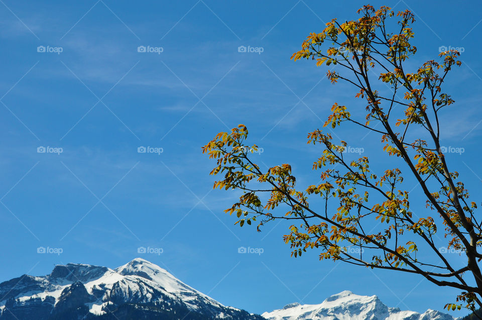 View of snowy mountain range