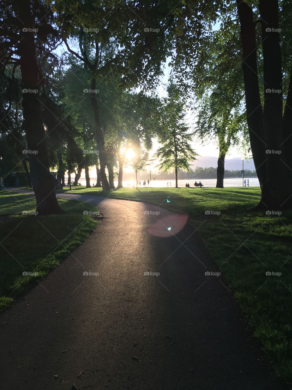 Sunsetting at the park