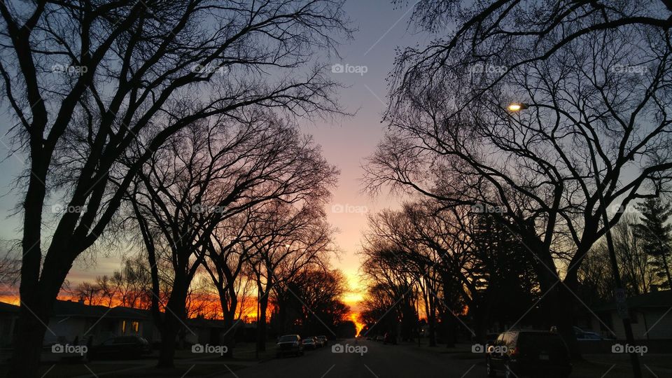 sunrise on the street