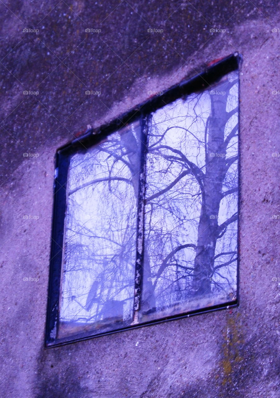 Window glass reflection