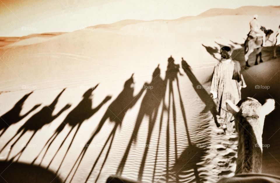 Shadows in the desert, Sahara Desert  . Shadows in the desert, Sahara Desert  
