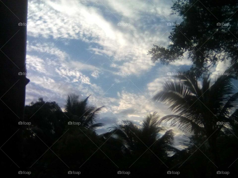 we all love to see beauty an we all love to see beauty  because that is how we are  just take a look an then tell me that you see.