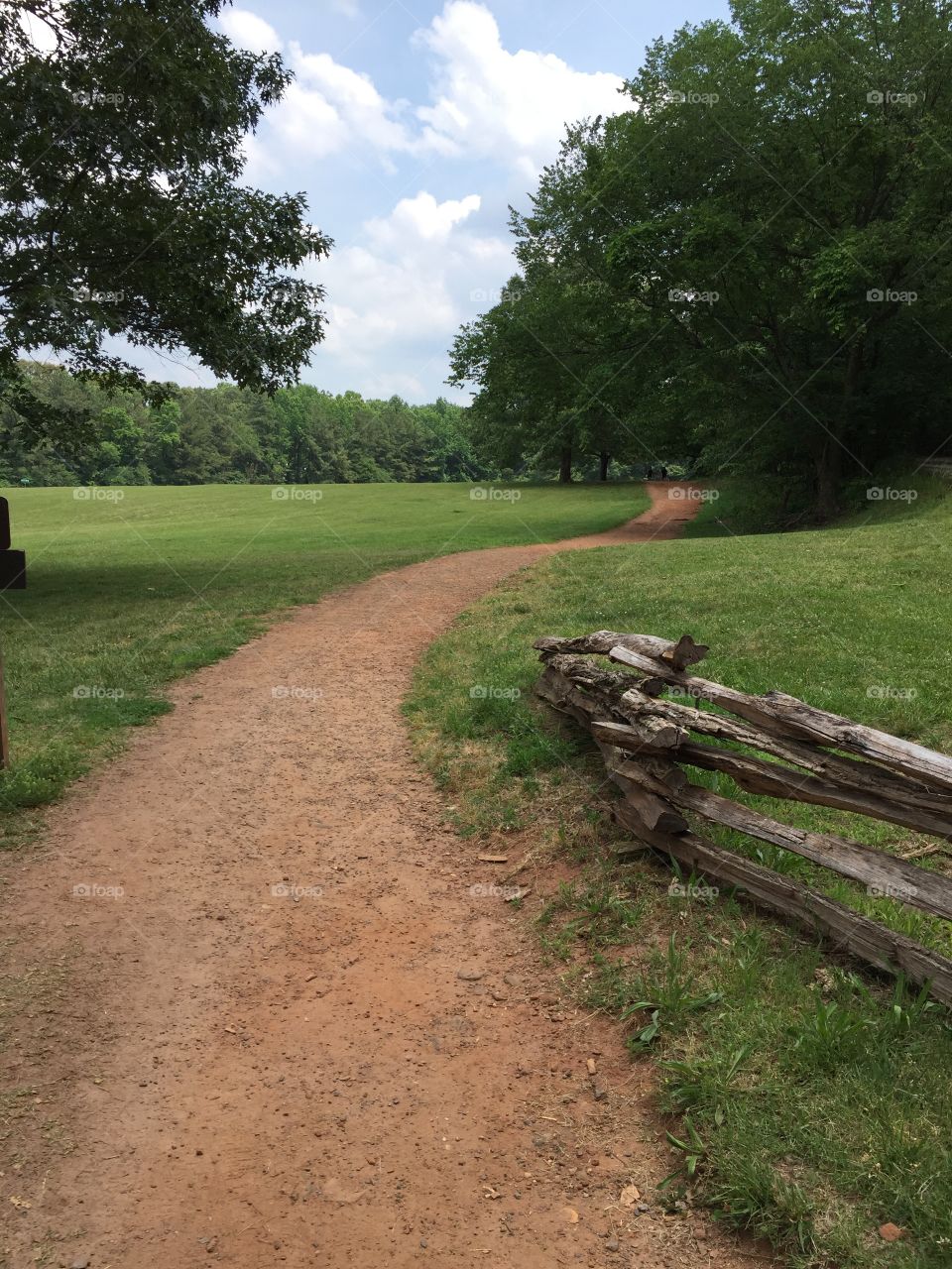 View of footpath in forest