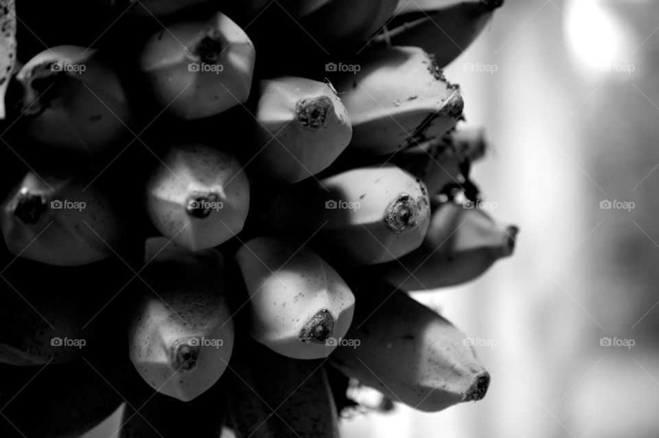 Black and White bananas on the rack in Maui Hawaii