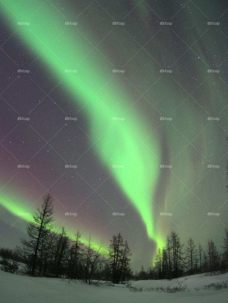 North, winter, aurora, solar wind, sun, night, flash, Polar region, snow, green, frost, northern night, emerald, flashes, magnetic storm, northern beauty, northern winter, evening, photo apparatus, shooting at night, long exposure