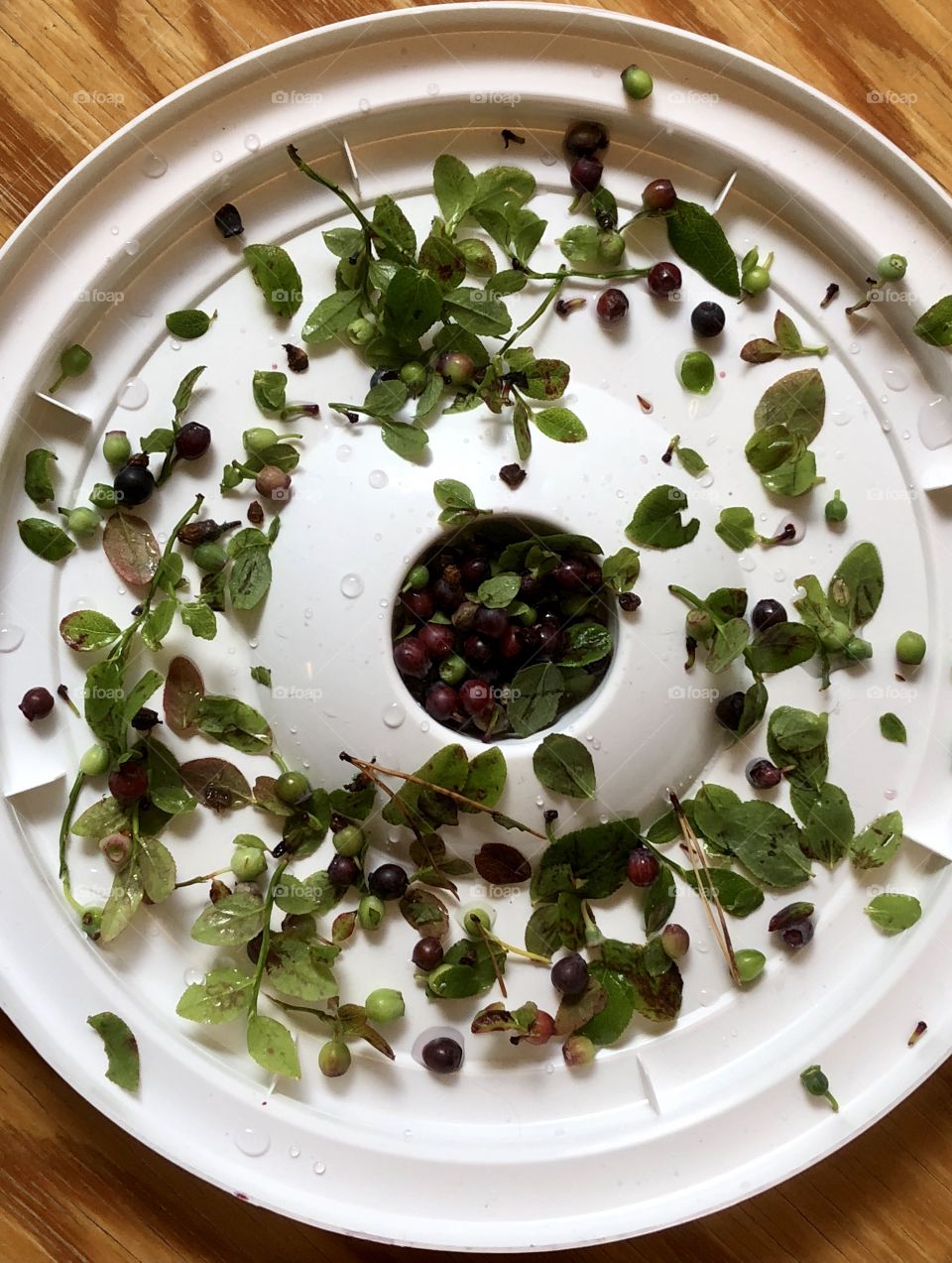 Huckleberry “art” on a round lid 