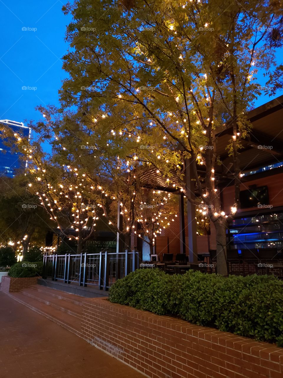 Downtown Fort Worth, Texas at Christmas