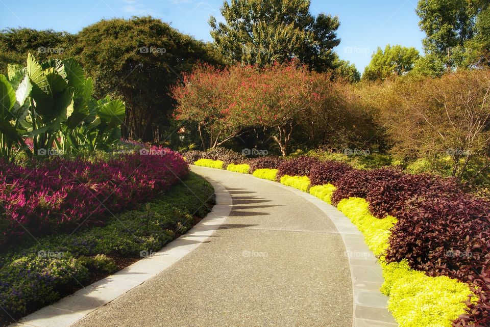 Garden path