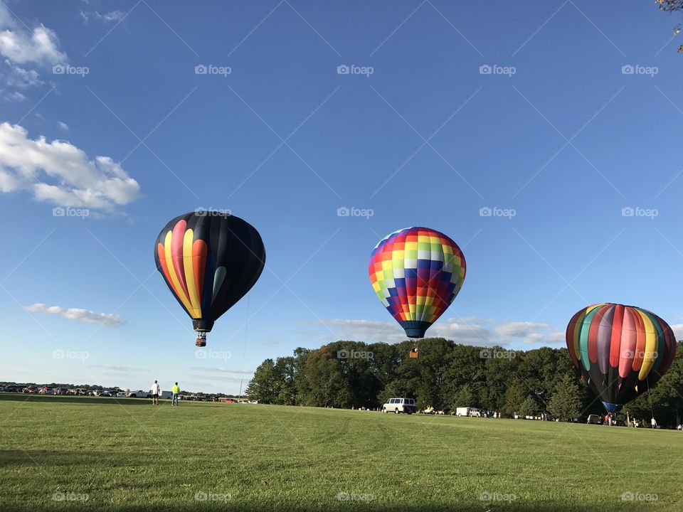 Hot air balloons taking flight 