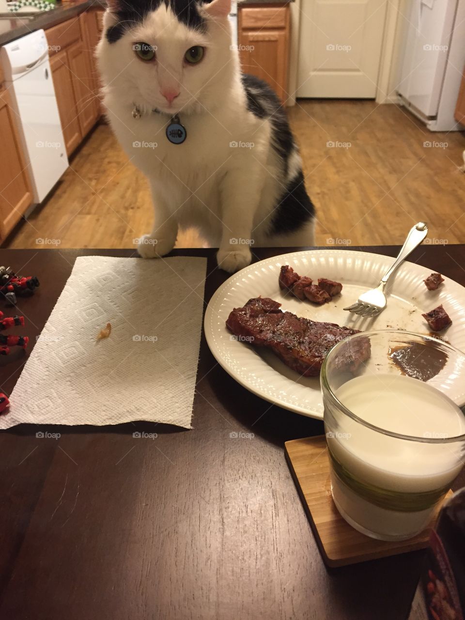 Dinner with the cat 