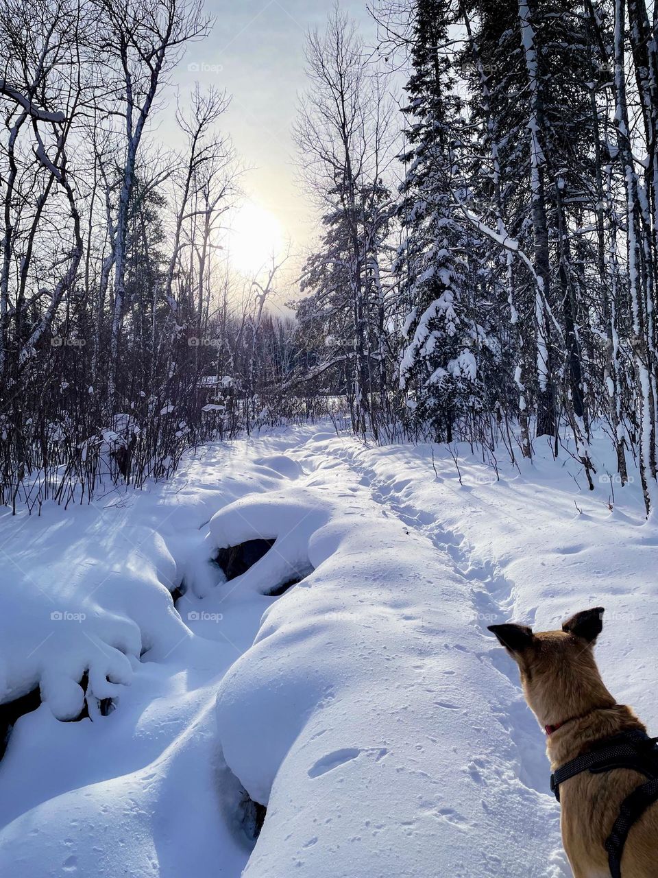 Winter hiking