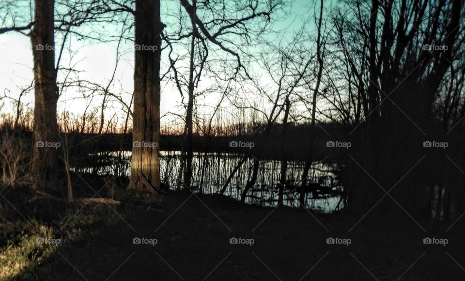 swamp land on a country road with very little color