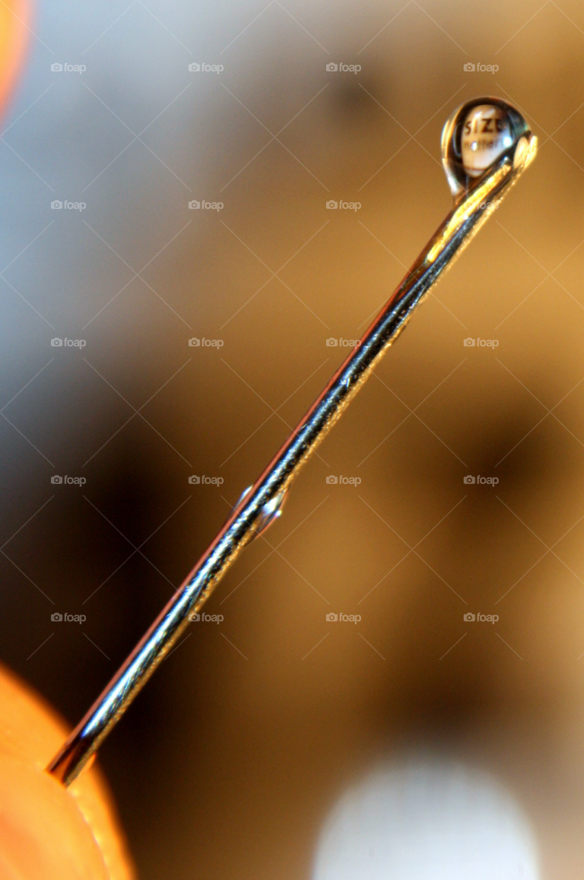 macro drop close up needle by leonbritton123