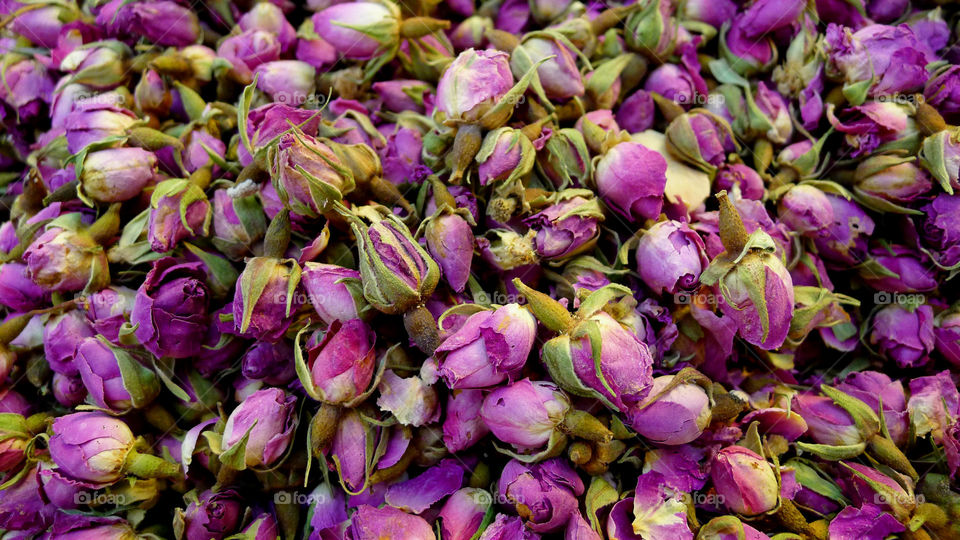 Dried rose buds, market in Iran