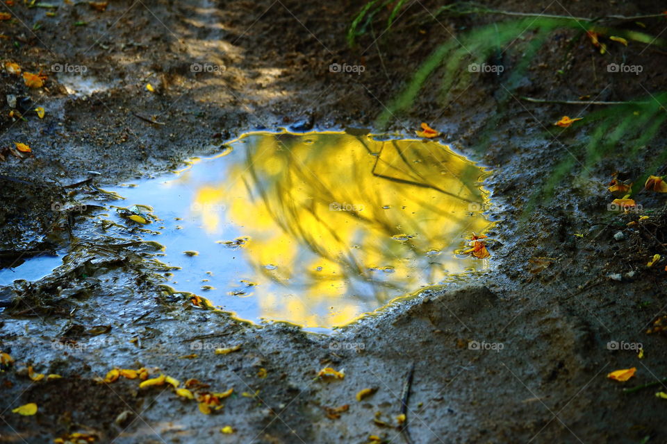 The puddle