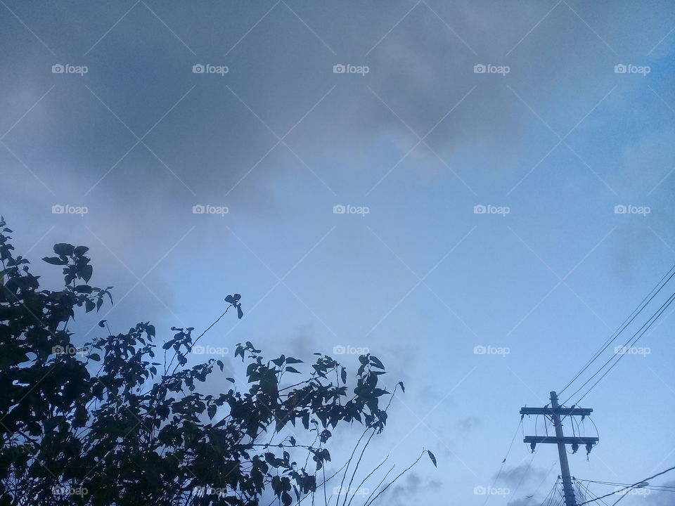 Leaves and a Beautiful sky in autumn