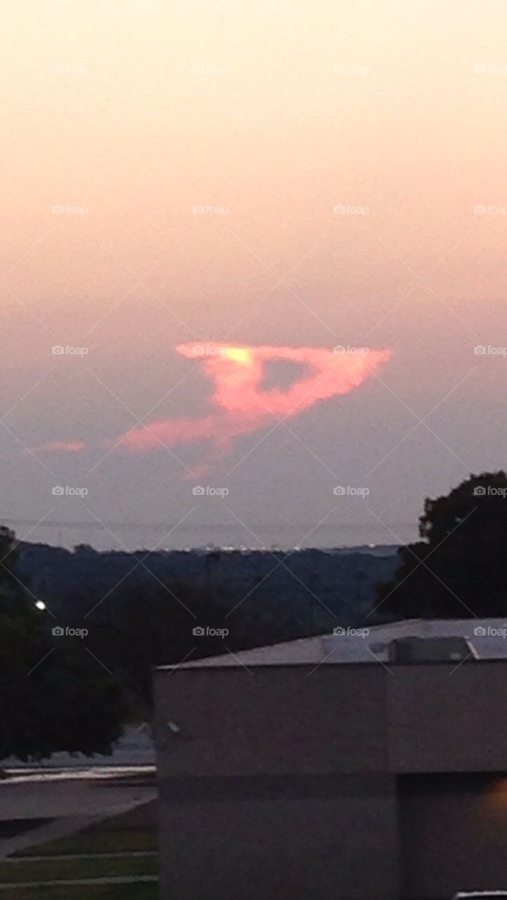 Pink Cloud