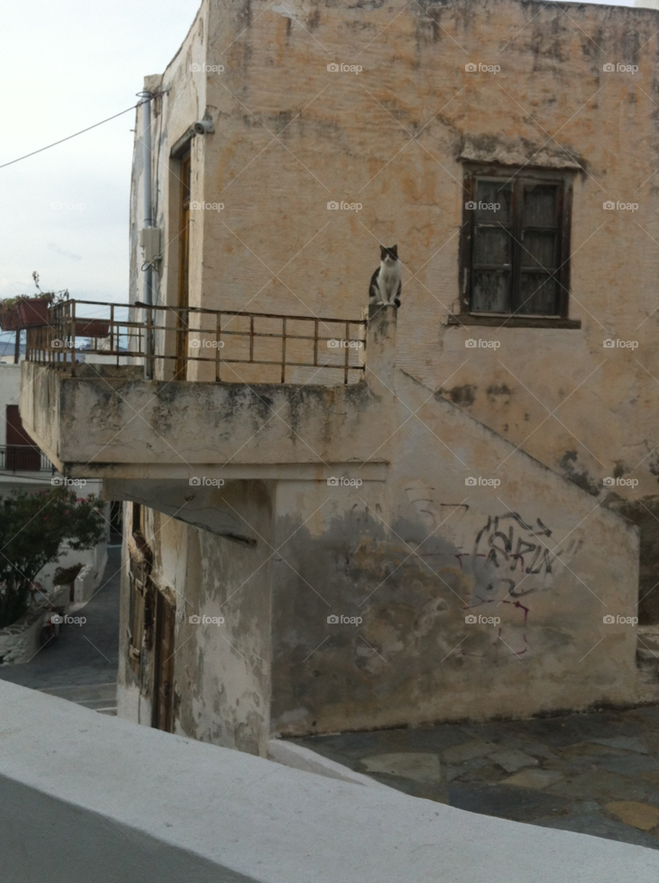 cat window old town naxos by giannak