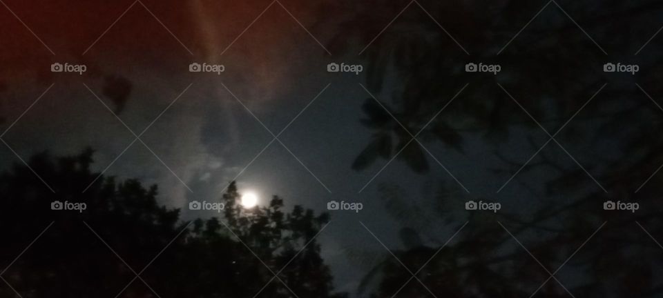 Full moon night light  🌉
