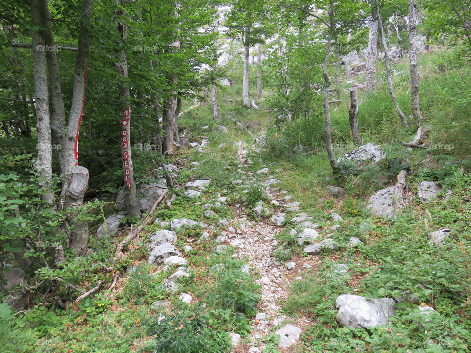 Mountain Orjen Montenegro remains of an old hiking trail