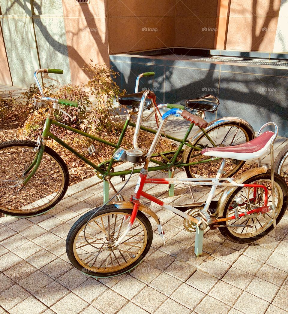 Old fashioned bicycles