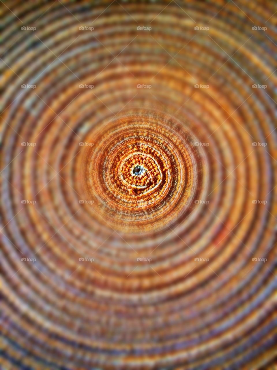 Close-up of spiral mat