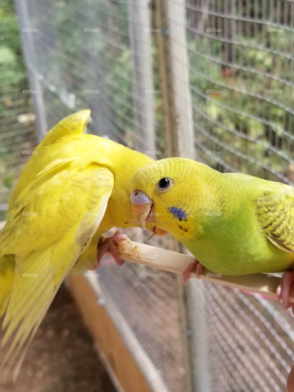Sharing a Snack