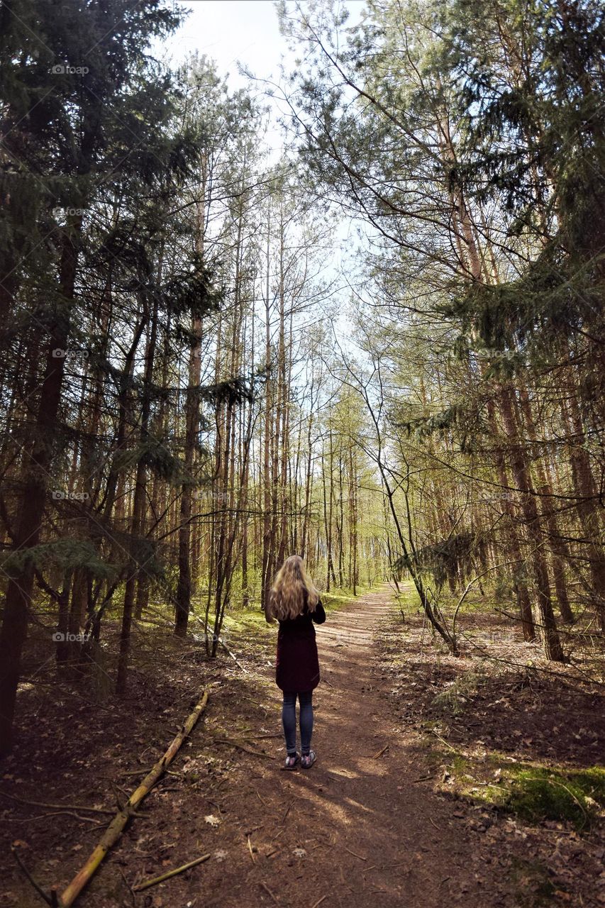 wide angle perspective picture woman seen from behind walking in the forest with sun rays trough the trees