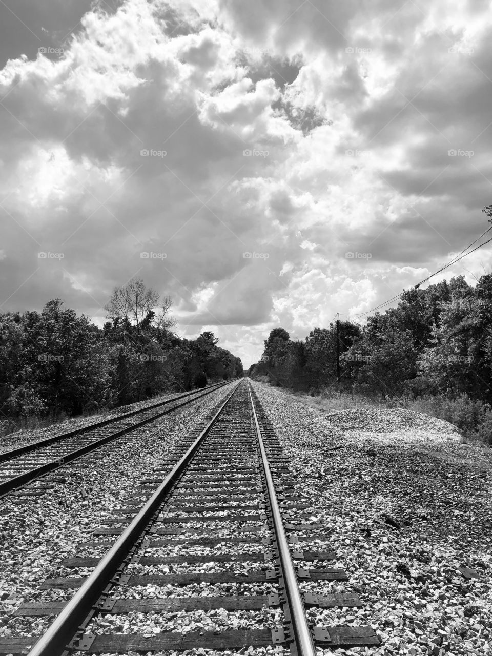 The Beauty of Black and White