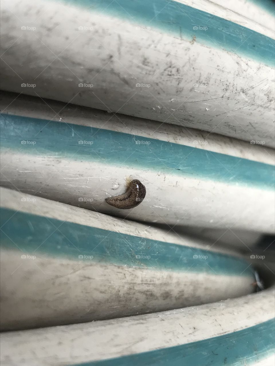 Slug