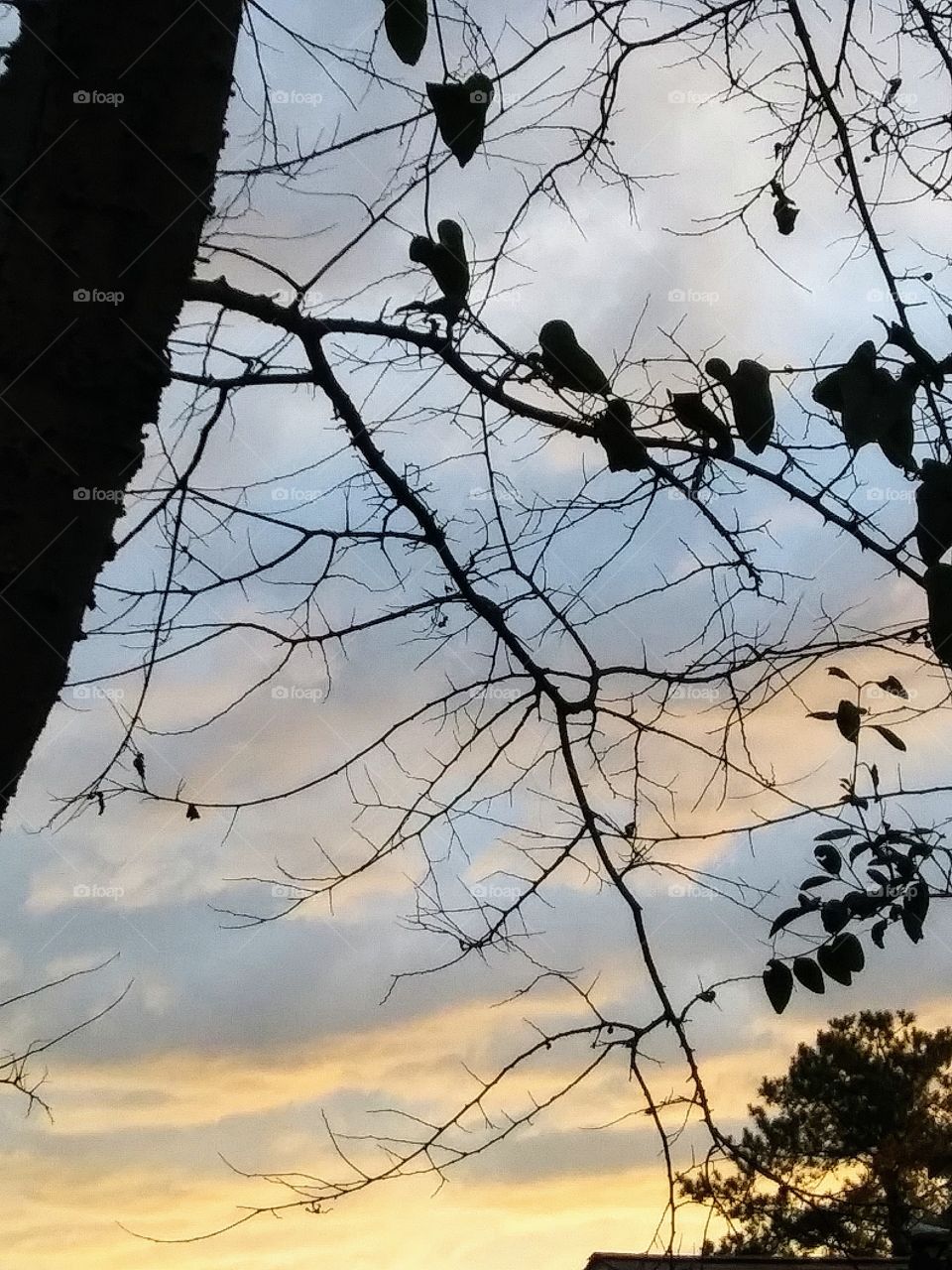 morning light on clouds